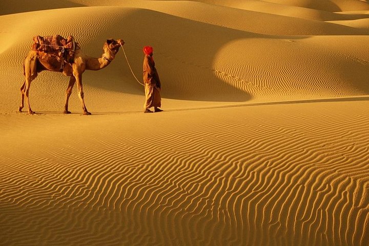 cholistan